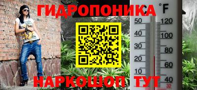 спайс Берёзовский