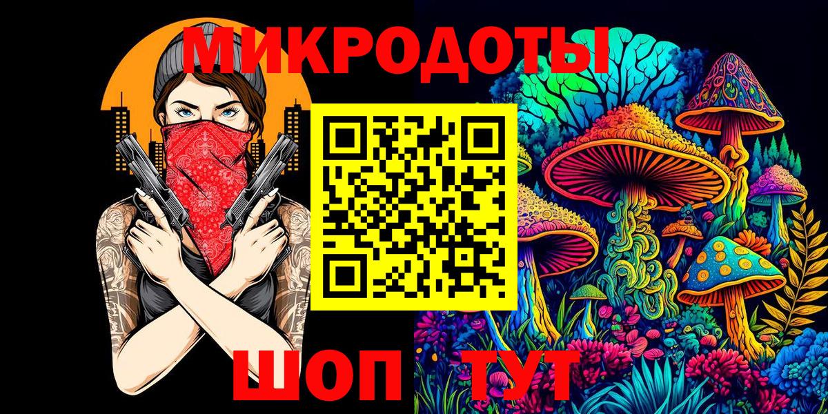 Галлюциногенные грибы Psilocybine cubensis Апшеронск