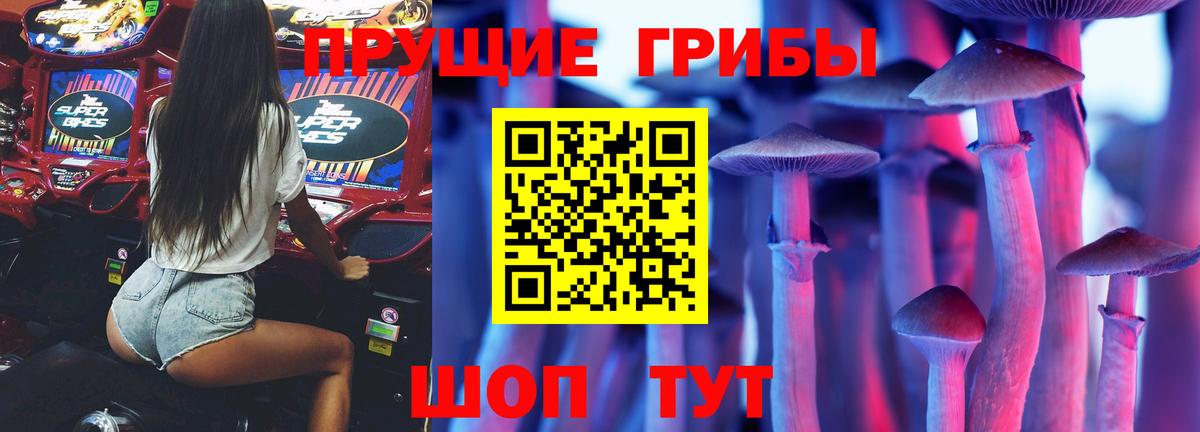 цена   Вход с VPN  Апшеронск  Галлюциногенные грибы Psilocybe 